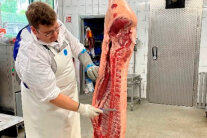 Metzger in weißer Arbeitskleidung vor hängender Schweinehälfte.