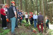 Gruppe Personen mit Schutzhelmen im Wald