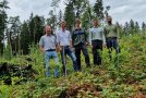 fünf Personen stehen im Wald zwischen gepflanzten Bäumen