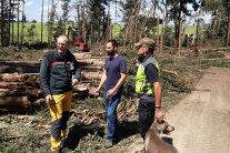 Förster auf der Windwurffläche, im Hintergrund ein Harvester. 