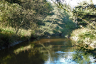 Flussabschnitt der Murn