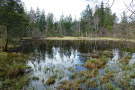 "Schwarzer See" im Hochriesgebiet