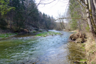 naturnaher Flussabschnitt