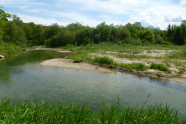 Naturnaher Flussabschnitt der Leitzach