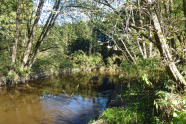 Flussabschnitt der Murn