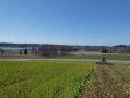 Lohnunternehmer Fischer mit der Fräse in einer Rübsen-Zwischenfrucht, im Hintergrund: der Pelhamer See