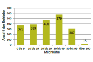Balkendiagramm zur Größenstruktur der Milchviehbetriebe