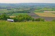 Wiese an einem Hang, dahinter Äcker, Felder und Wiesen